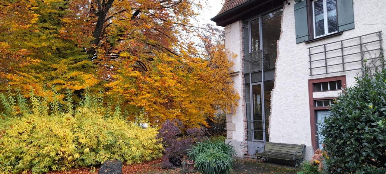 Villaflora Gaestehaus Riedlingen Extérieur photo